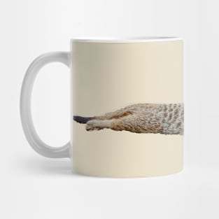 Meerkat Mug